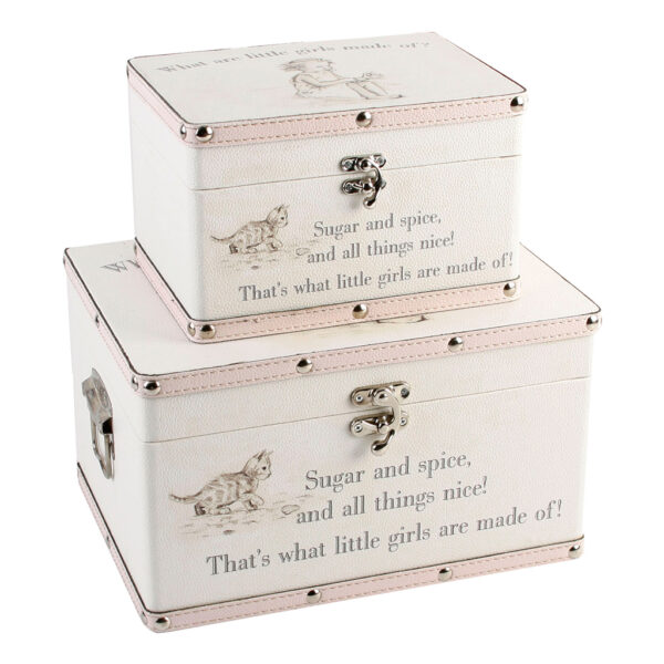 Celebrations Luggage series - Set of 2 Boxes - "Little Girls"