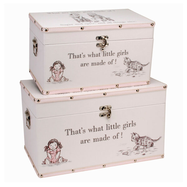 Celebrations Luggage series - Set of 2 Storage Boxes - "Little Girls"