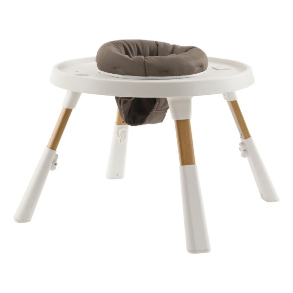 Oyster 4-in-1 Highchair