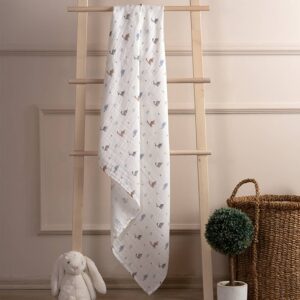 Funnababy Dinosaurus Blanket