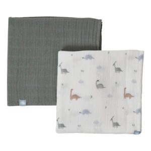 Funnababy Dinosaurus Blanket 2 Piece Set