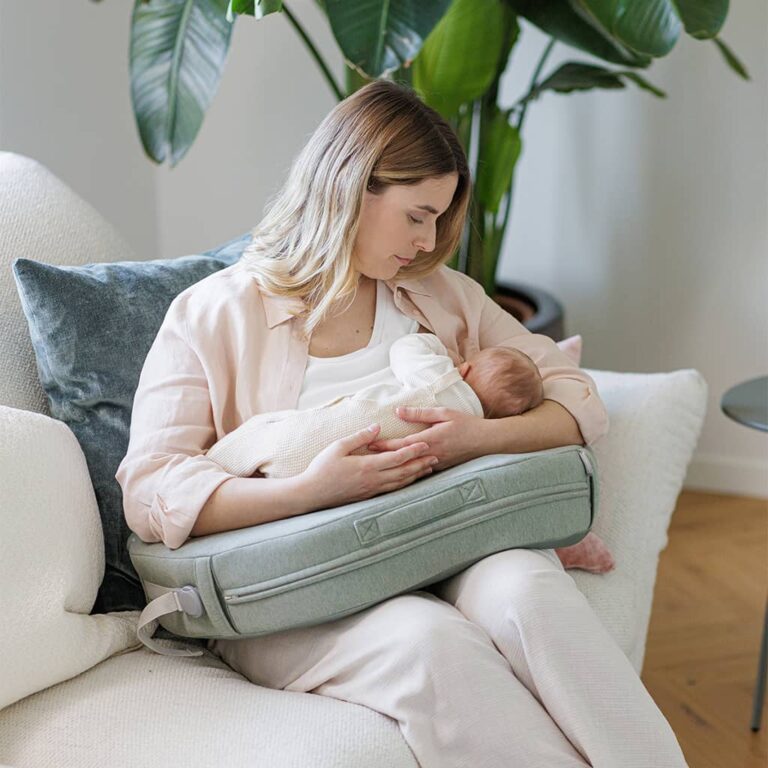 Inglesina Elysia Nursing Pillow